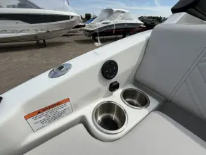 Thumbnail von Sea Ray SDX 250 Surf