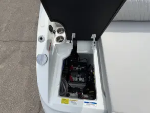 Thumbnail von Sea Ray SDX 250 Surf