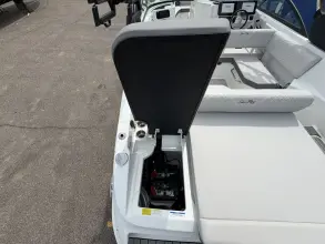Thumbnail von Sea Ray SDX 250 Surf