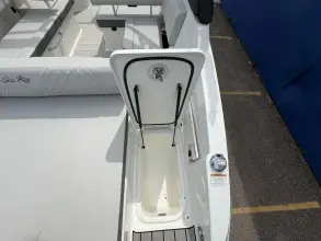 Thumbnail von Sea Ray SDX 250 Surf