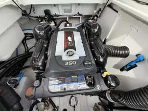 Thumbnail von Sea Ray SDX 250 Surf