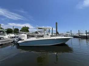 Boston Whaler 250 Dauntless