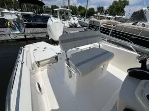 Thumbnail von Boston Whaler 250 Dauntless