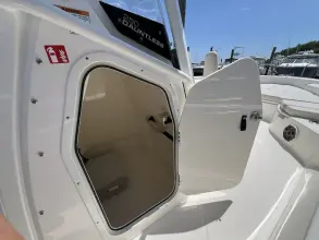 Thumbnail von Boston Whaler 250 Dauntless