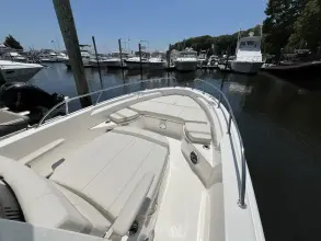 Thumbnail von Boston Whaler 250 Dauntless