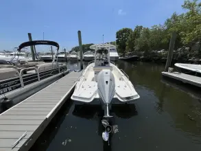Thumbnail von Boston Whaler 250 Dauntless