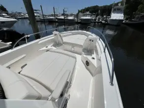 Thumbnail von Boston Whaler 250 Dauntless