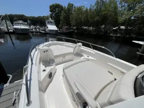 Thumbnail von Boston Whaler 250 Dauntless