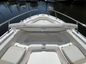 Thumbnail von Boston Whaler 250 Dauntless