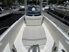 Thumbnail von Boston Whaler 250 Dauntless