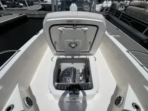 Thumbnail von Boston Whaler 250 Dauntless