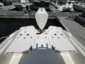 Thumbnail von Boston Whaler 250 Dauntless