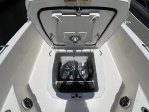 Thumbnail von Boston Whaler 250 Dauntless