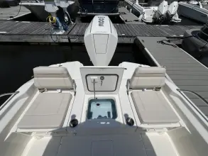 Thumbnail von Boston Whaler 250 Dauntless