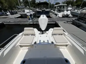 Thumbnail von Boston Whaler 250 Dauntless