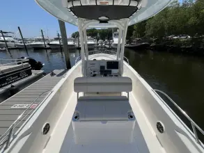 Thumbnail von Boston Whaler 250 Dauntless