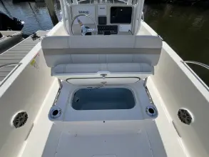Thumbnail von Boston Whaler 250 Dauntless