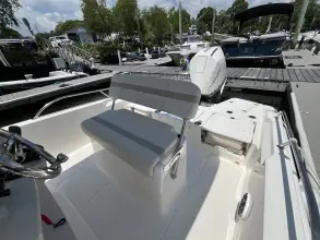 Thumbnail von Boston Whaler 250 Dauntless
