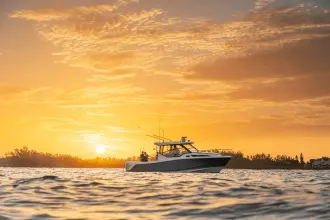 Thumbnail von Boston Whaler 325 Conquest