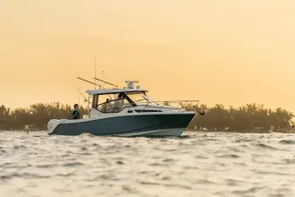 Thumbnail von Boston Whaler 325 Conquest