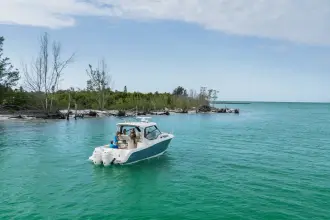Thumbnail von Boston Whaler 325 Conquest