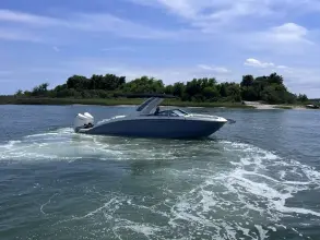 Sea Ray SDX 290 Außenborder