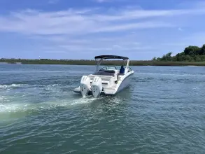 Thumbnail von Sea Ray SDX 290 Außenborder