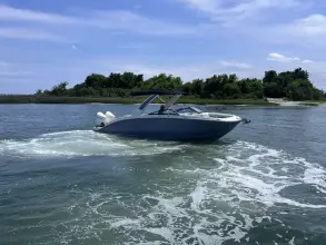 Thumbnail von Sea Ray SDX 290 Außenborder