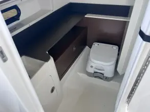 Thumbnail von Sea Ray SDX 290 Außenborder