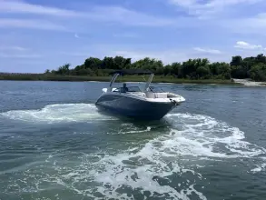 Thumbnail von Sea Ray SDX 290 Außenborder