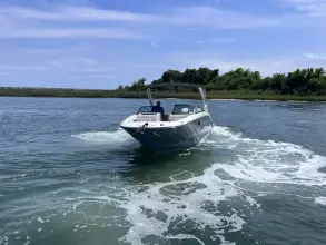 Thumbnail von Sea Ray SDX 290 Außenborder