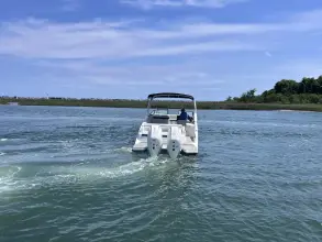 Thumbnail von Sea Ray SDX 290 Außenborder