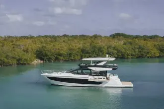 Thumbnail von Cruisers Yachts 57 FLY