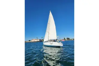 Thumbnail von Sailfish 320 CC 2022 Sailfish 320