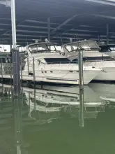 Thumbnail von Sea Ray 480 Sedan Bridge Yankee Zulu
