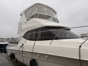 Thumbnail von Silverton 38 Convertible Sonnige Tage