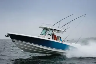 Thumbnail von Boston Whaler 330 Outrage
