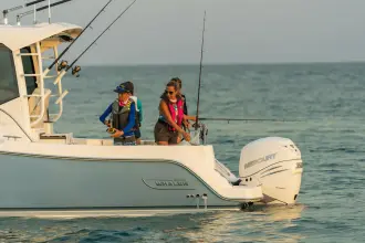 Thumbnail von Boston Whaler 325 Conquest
