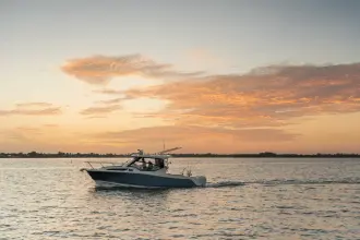 Thumbnail von Boston Whaler 325 Conquest