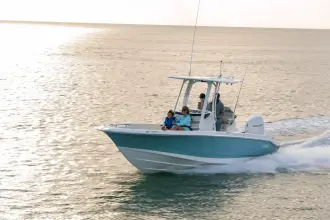 Thumbnail von Boston Whaler 250 Dauntless