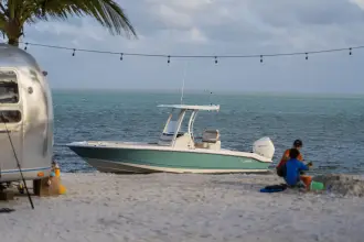 Thumbnail von Boston Whaler 250 Dauntless