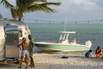 Thumbnail von Boston Whaler 250 Dauntless