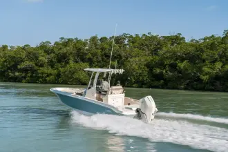 Thumbnail von Boston Whaler 250 Dauntless