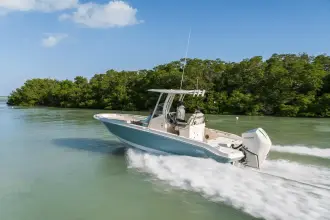 Thumbnail von Boston Whaler 250 Dauntless