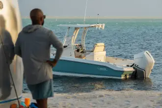 Thumbnail von Boston Whaler 250 Dauntless