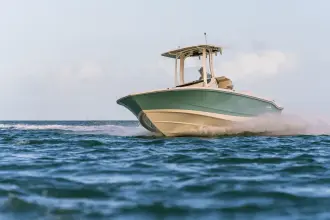 Thumbnail von Boston Whaler 250 Dauntless