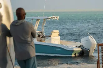 Thumbnail von Boston Whaler 250 Dauntless
