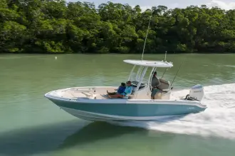 Thumbnail von Boston Whaler 250 Dauntless