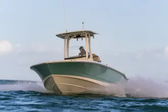 Thumbnail von Boston Whaler 250 Dauntless