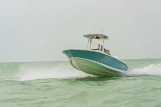 Thumbnail von Boston Whaler 250 Dauntless